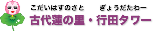 古代蓮の里・行田タワー