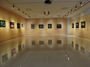 美術家協会会員作品展　写真部