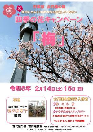 四季の花キャンペーン「梅」