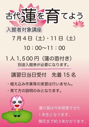 蓮の育て方講座