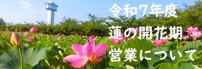 開花期バナー